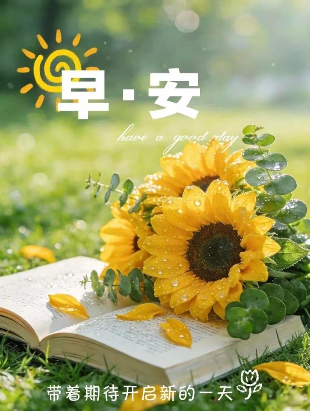 每个清晨都是重新出发的勇气。早安