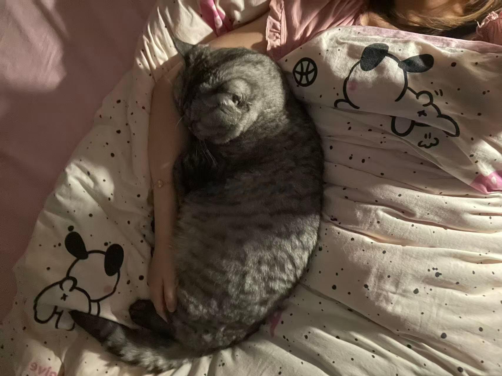 朱珠男人可以让面子不能让蜜语纪 许蜜语那句爱情不会是我人生的解药说得太通透了，多