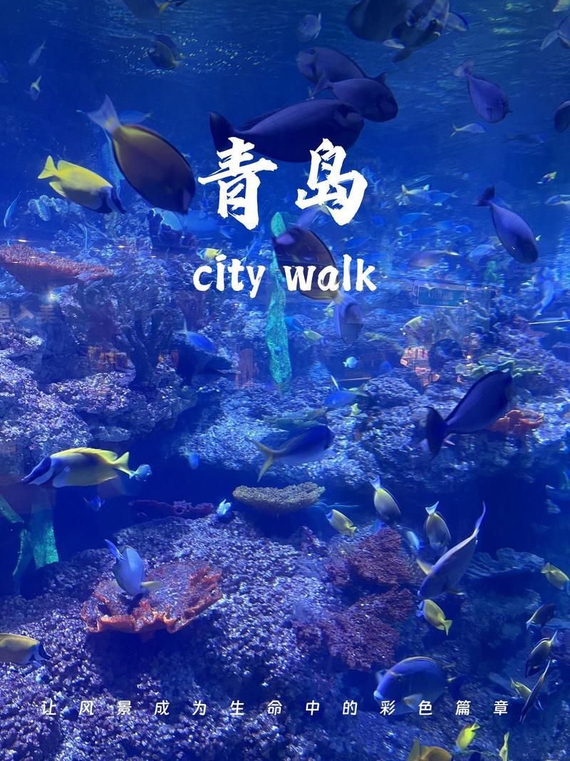 🔥炸场！青岛拿下全球第一！
最新GFCI40全球金融中心指数出炉，在全球117