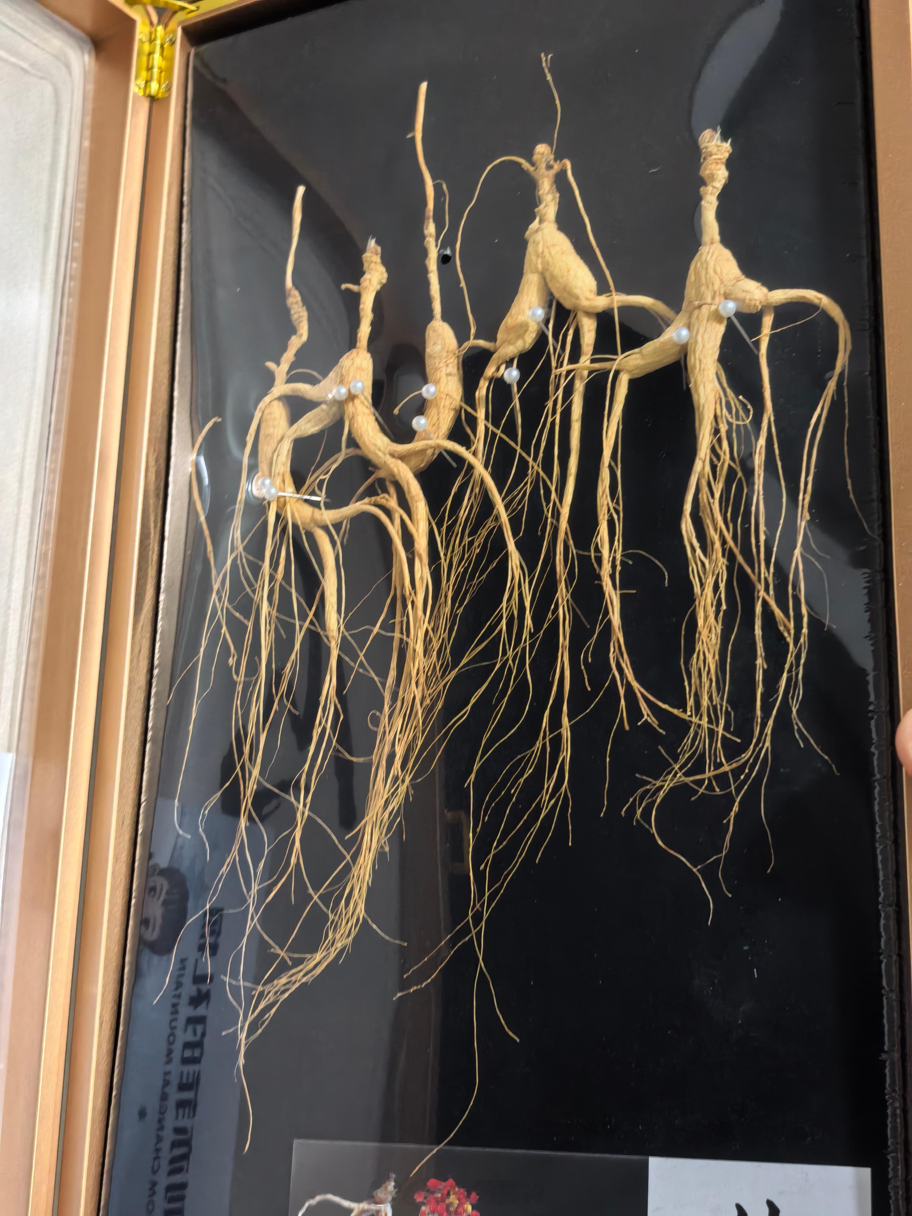 刚回到家，感谢“东北刘亦菲-套哥”寄来的东北礼物，祝哥哥新年快乐，阖家幸福