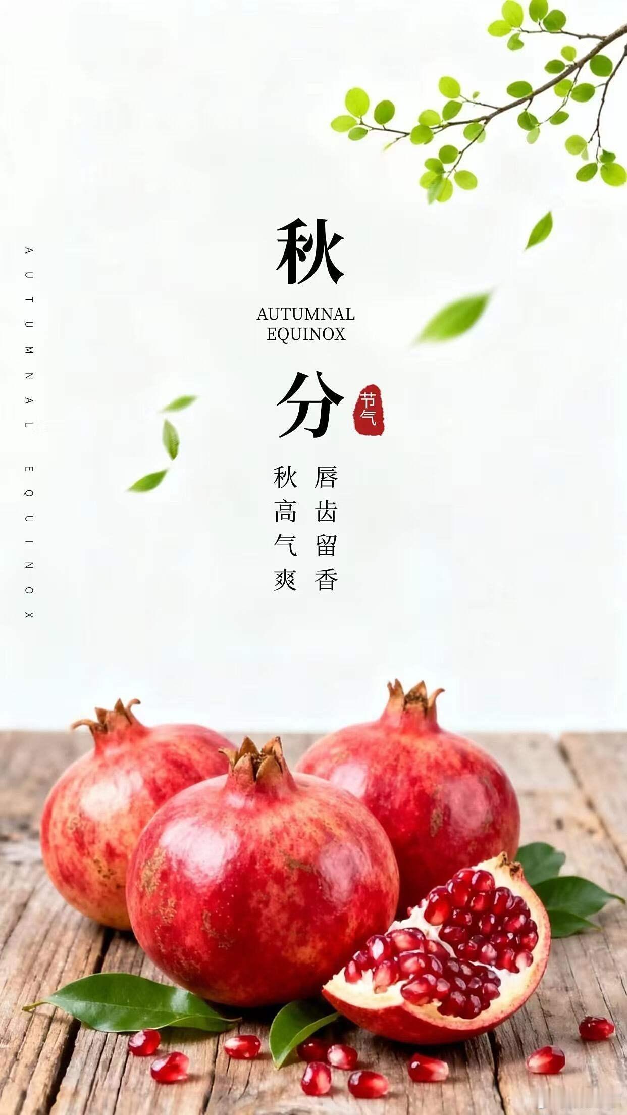 愿你在秋分时节，与美好不期而遇。每一个清晨都充满活力，每一个夜晚都安然入眠。生活