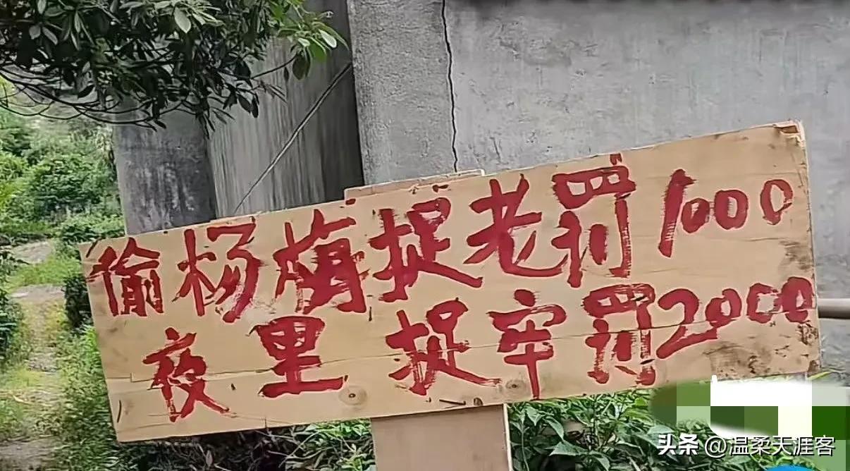 这是要说啥呢？

为啥晚上要比白天价格高呢？