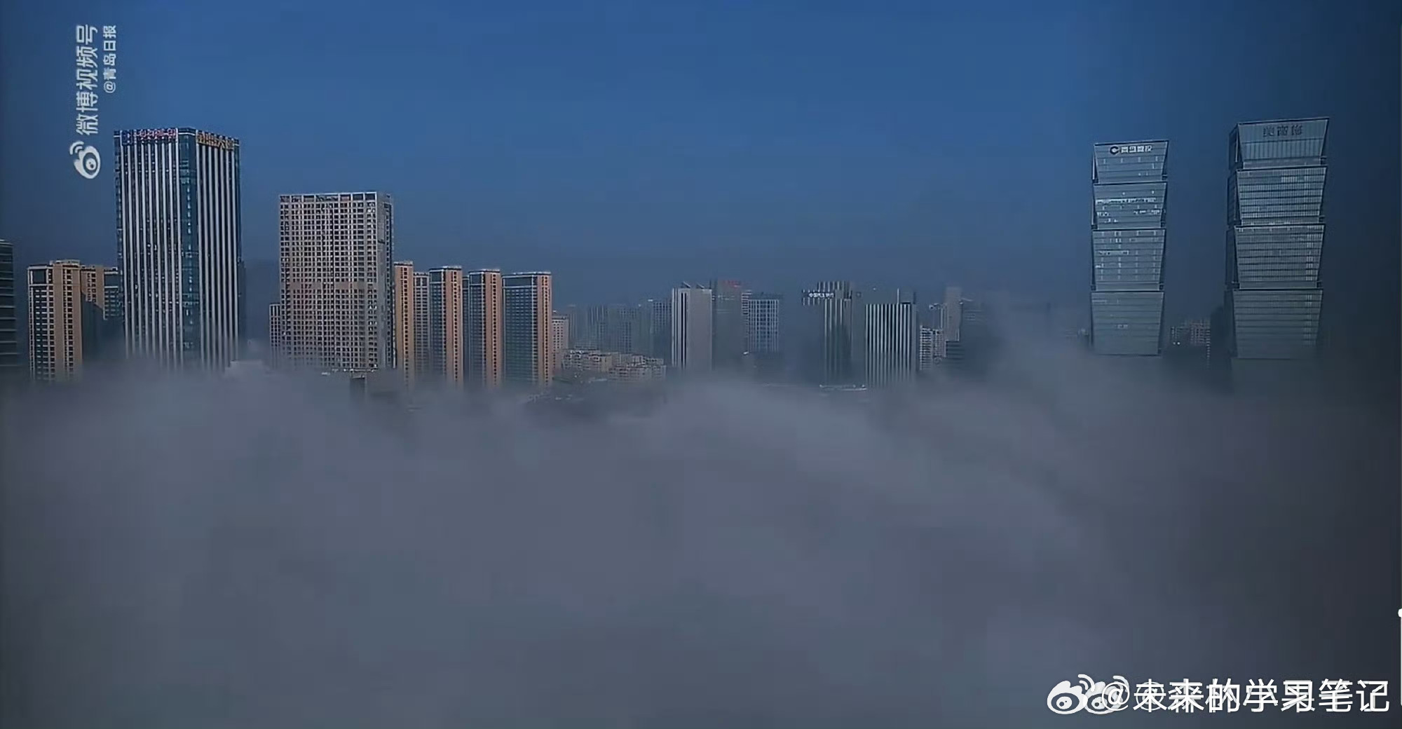 景观去重庆错过了，这怎么和肖战还有关系，没看懂被青岛平流雾景观震撼到了