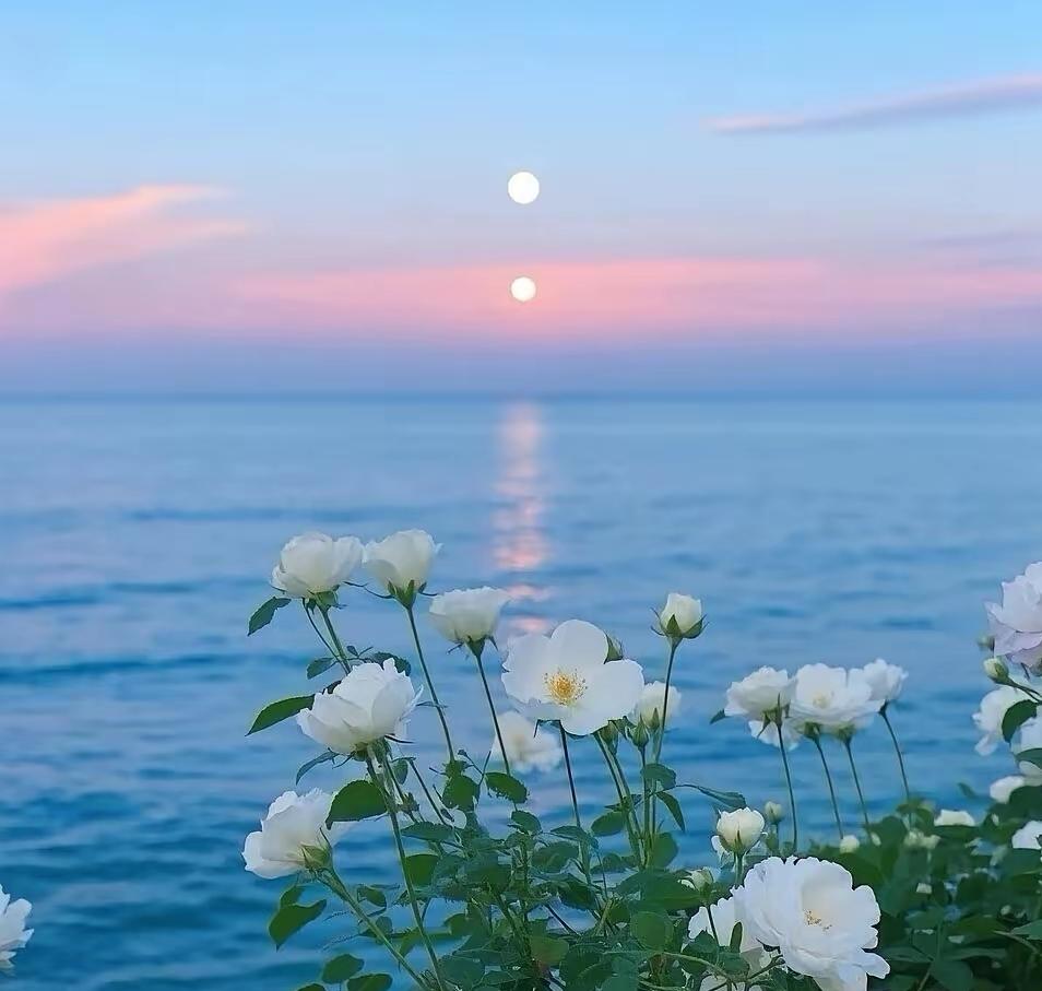 人真正大彻大悟，往往就在一瞬间。
 
不是年纪到了，而是经历够了。
无人依靠时，