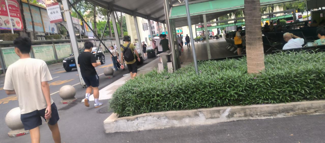 人怕出名猪怕壮。
猪怕壮的缘由还算容易理解，猪长得够肥够壮时，养猪老板便能卖猪大