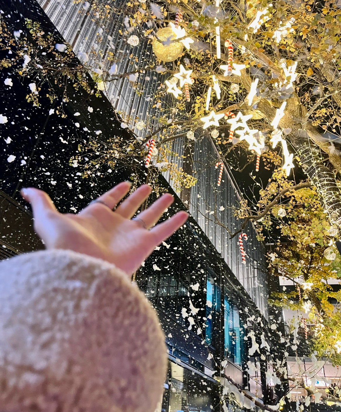 下雪文案❄️｜微博这么发太有感觉了1、ᵕ̈ᴵᵀ'ˢ ˢᴺᴼᵂᴵᴺᴳ☃“下雪啦❆ 