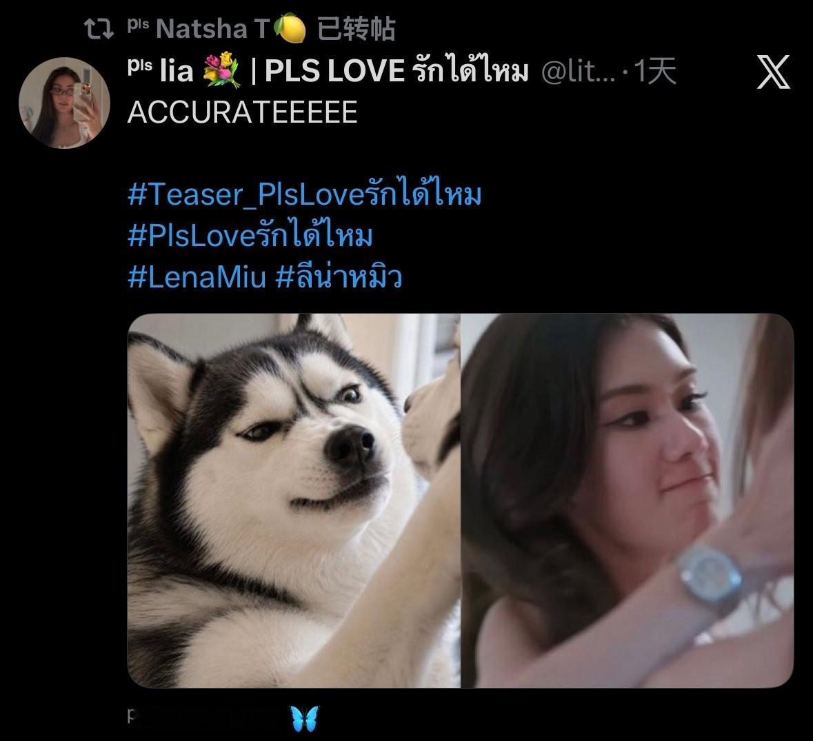 郑婷婷这个转帖我笑的 