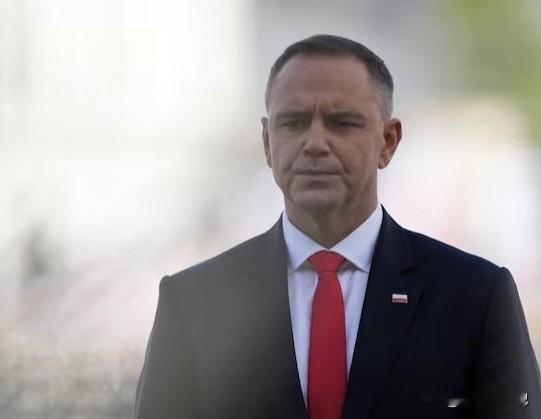 德国联邦政府与波兰当局经磋商达成一致，决定派遣联邦国防军部队参与波兰主导的东部哨