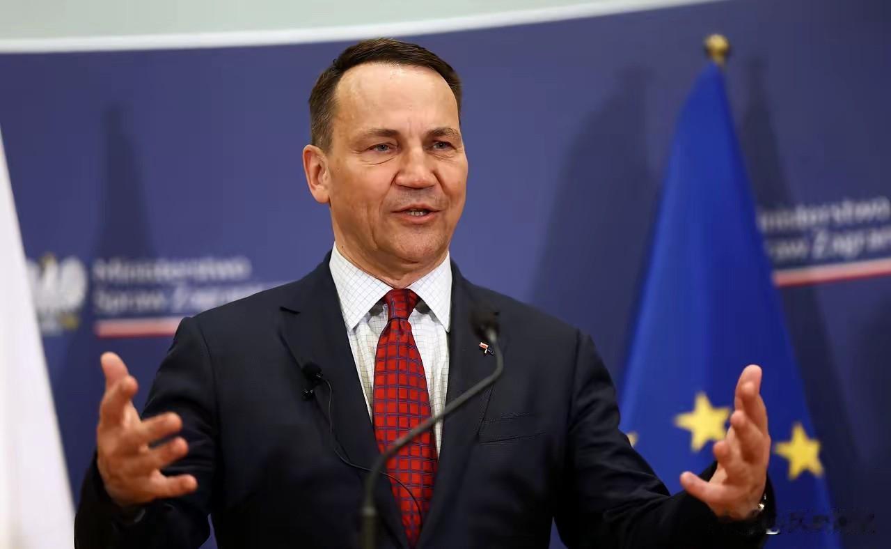 波兰外长西科尔斯基今天说：“德国和法国加在一起，如今也小到不足以主导欧洲了。”