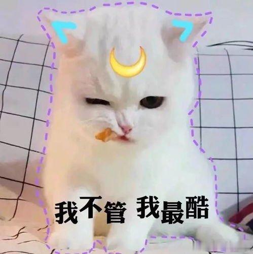 周云杰分享406所希望学校背后故事三十载步履不停，四百余所校园生根🌱从一间校舍