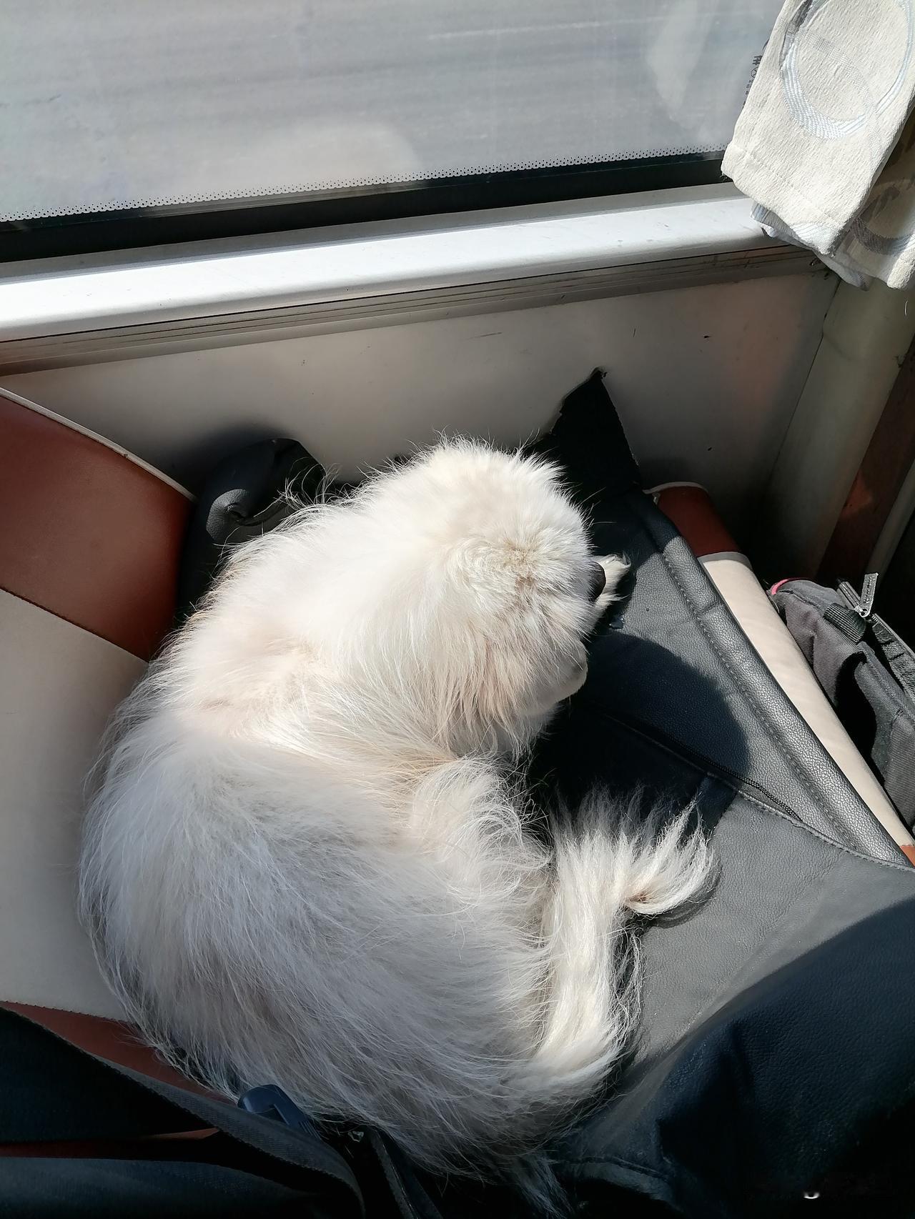 回老家待了半个月，今天终于回到自己家。

早晨，我姐姐起床之后就忙碌起来。我也起