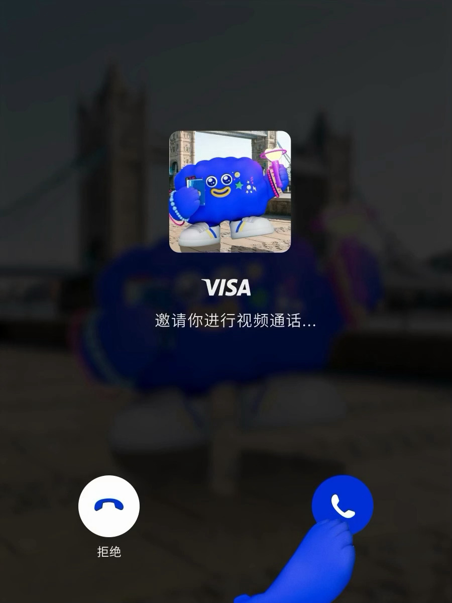 这张截图里是 Visa（维萨） 的官方形象和视频通话邀请。结合图片，为你介绍这家