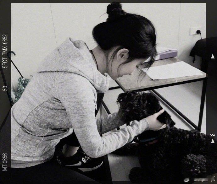 遇见小动物总要蹲下来贴贴的   肯定不是坏人 刘亦菲