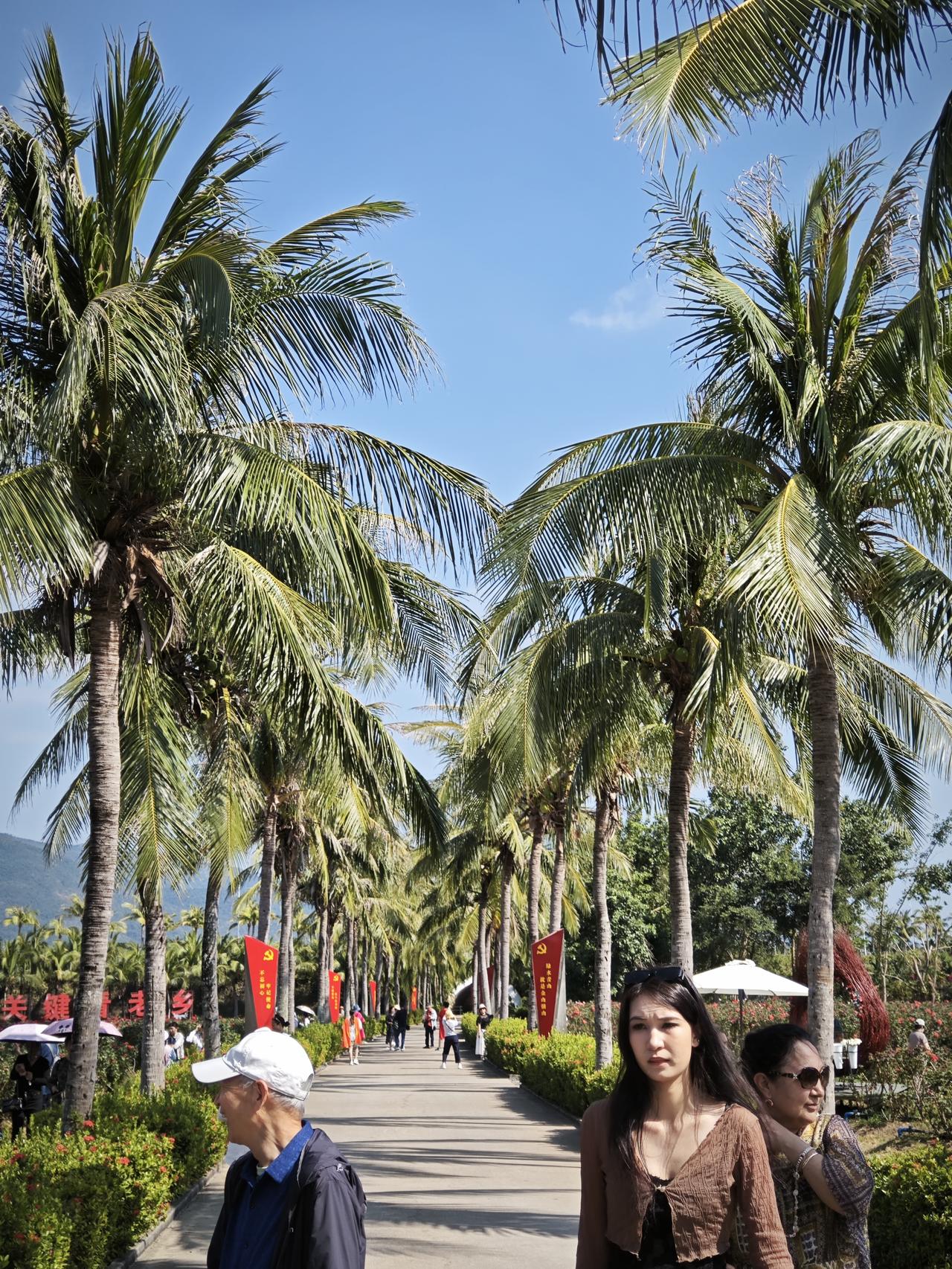 分享一下你随手拍下的照片三亚的椰林道藏着南国独有的浪漫，蓝天揉着椰影，脚步踩在暖