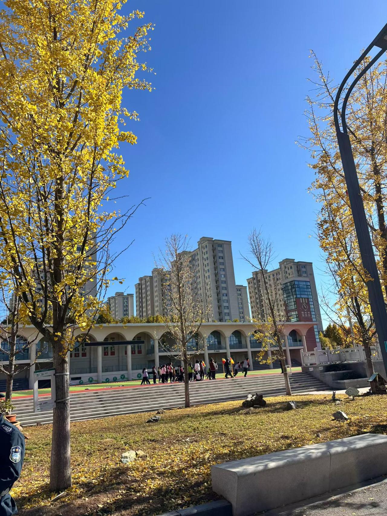 朋友圈里，秋日私语，
登山远足，忘了归途。
 岁月静好，秋意阑珊。
一切刚刚好