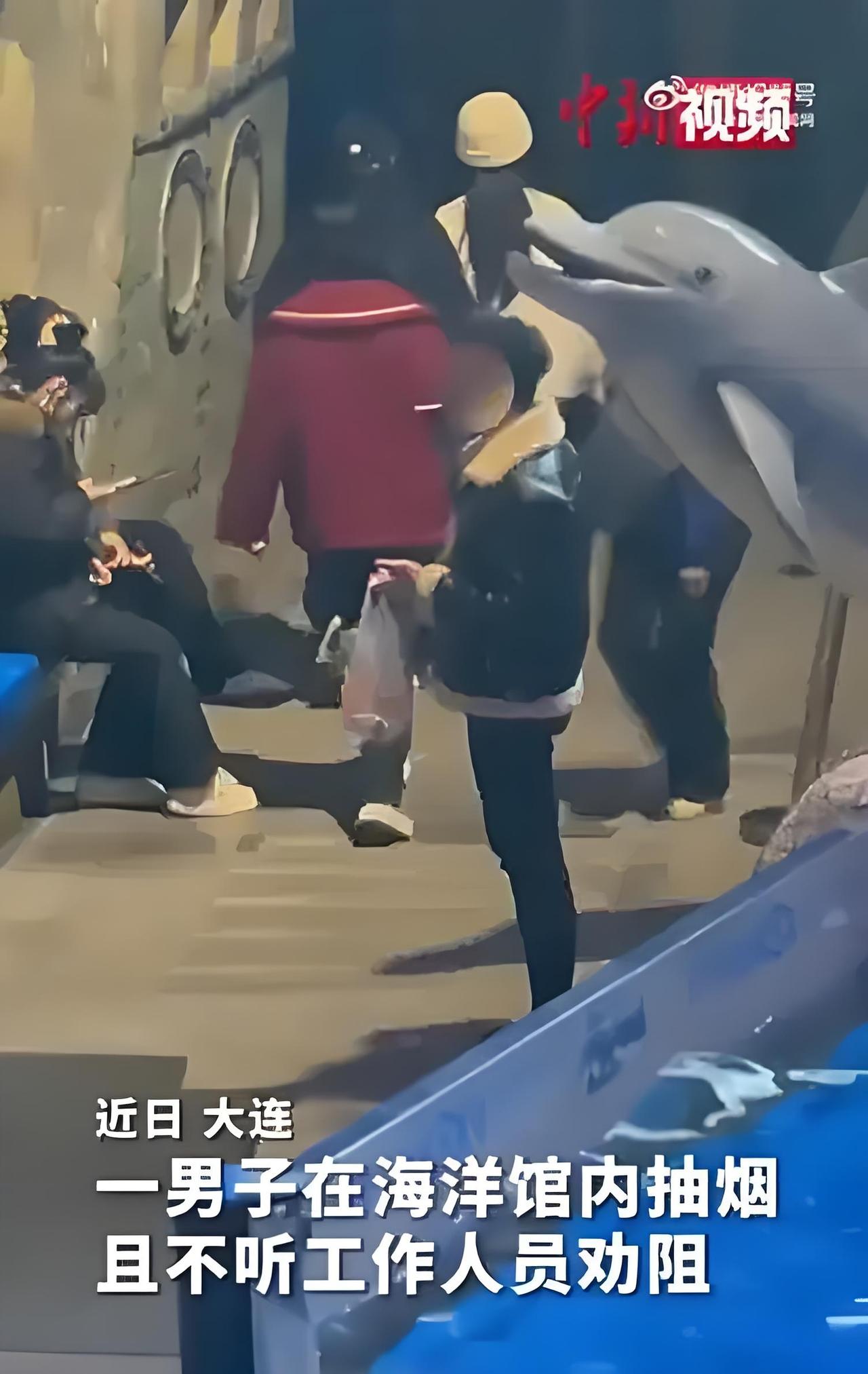 12月7日，大连某海洋馆内上演了一幕颇具戏剧性的场景：一名男子在馆内违反禁烟规定
