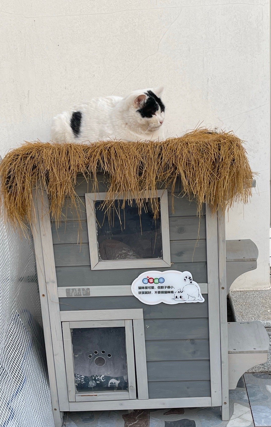 快到周末了，想我的小魔丸们了。 