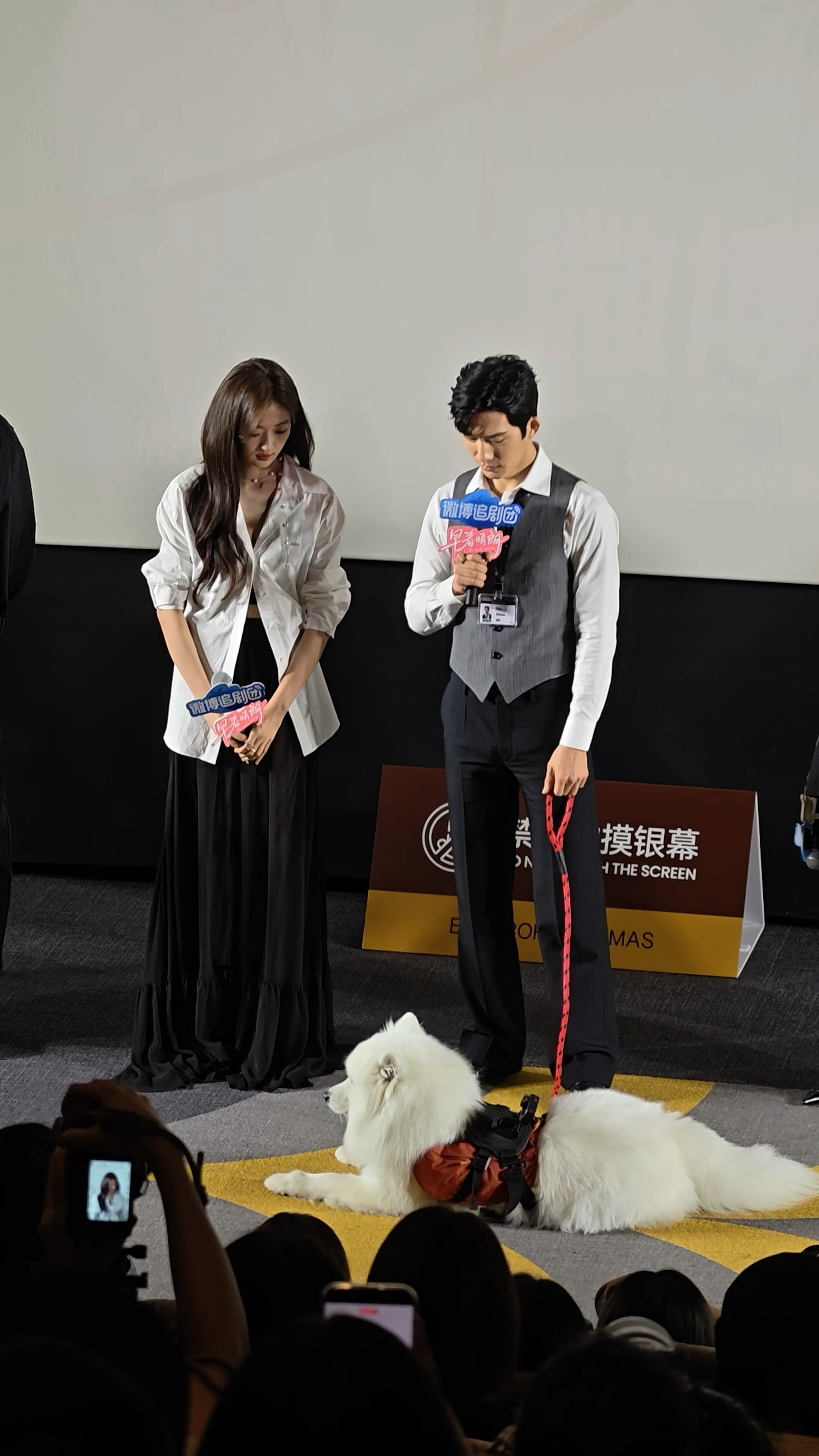 井柏然孙千现场抢狗 早春晴朗追剧团现场直接上演大型抢狗名场面，井柏然孙千刚做完自