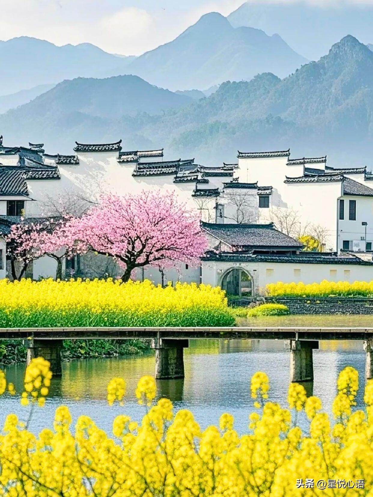 景德镇虽美，但皖南这方山水才是春日惊喜！
被国家地理推荐的小城，
藏着最治愈的春