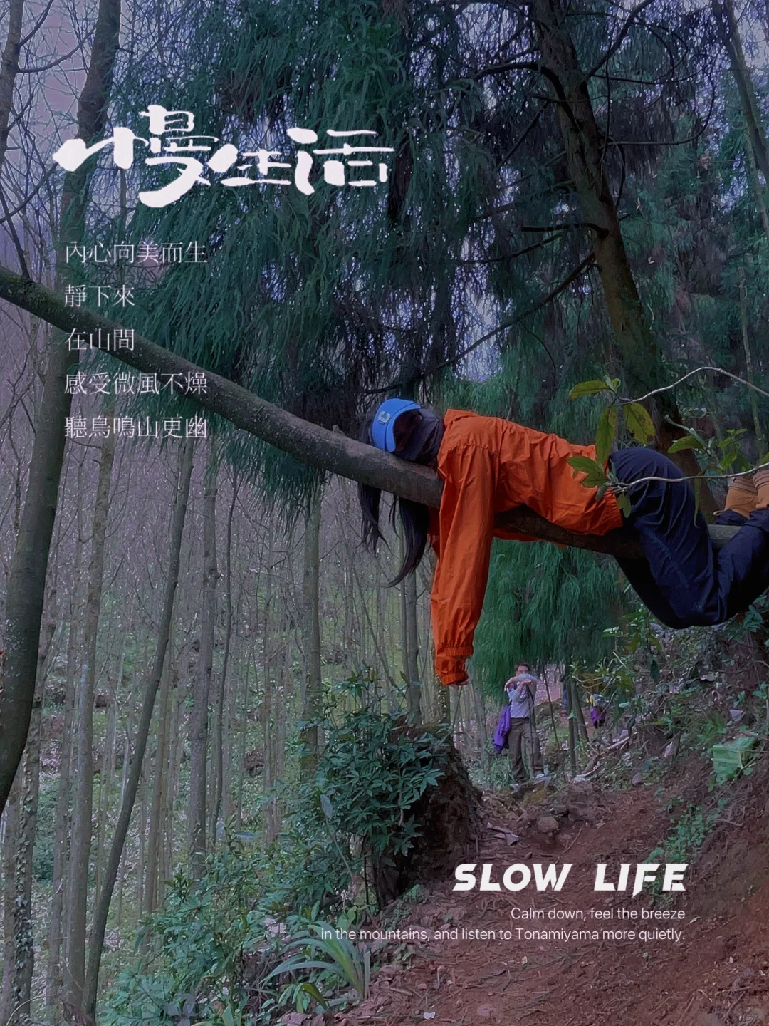 林中作乐。都江堰上元古道