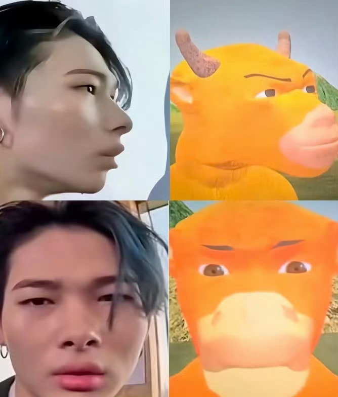 真正的双生花 