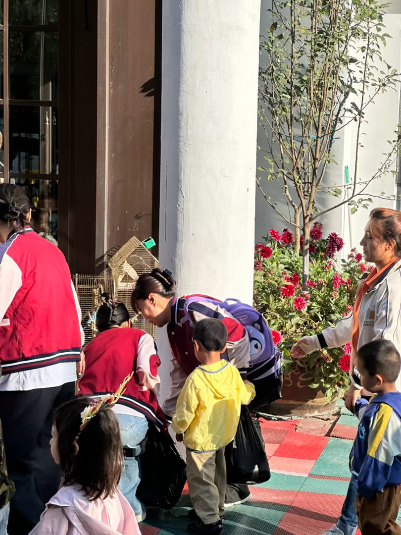 上学🎒扒会栏杆看孩子跳完早操回屋，路过的别班老师还rua了rua小糕。 ​​​
