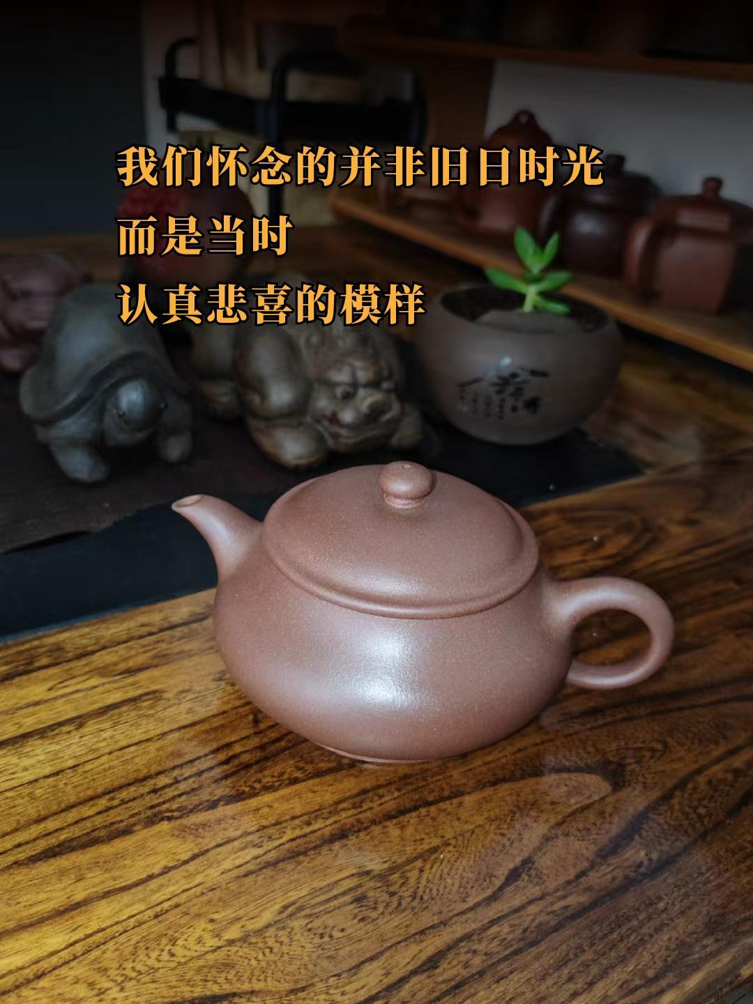 生活不是我们活过的日子，而是我们记住的日子紫砂壶 怀旧