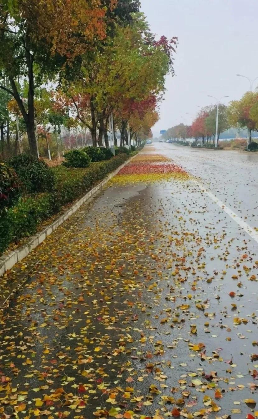 △△树叶秋吟△△
☔️🍎🍃🌸
冷暖经雨反复间，
暑去寒来难赠闲。
秋风送我