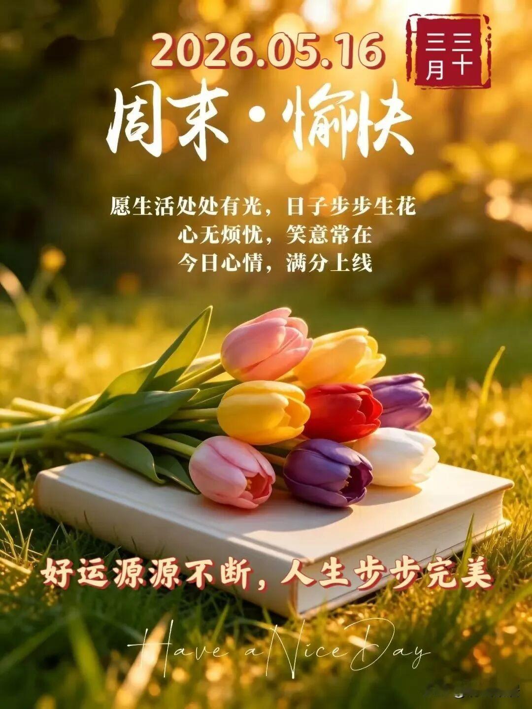 昨天刚刚说沈阳提前入夏，今天最高气温就下降了，明天晚上还有雨，到了下周一，最高气