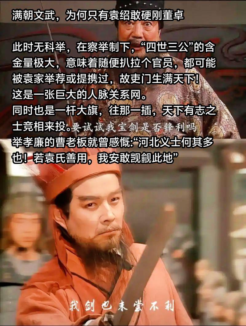 四世三公，名贯天下，可惜...