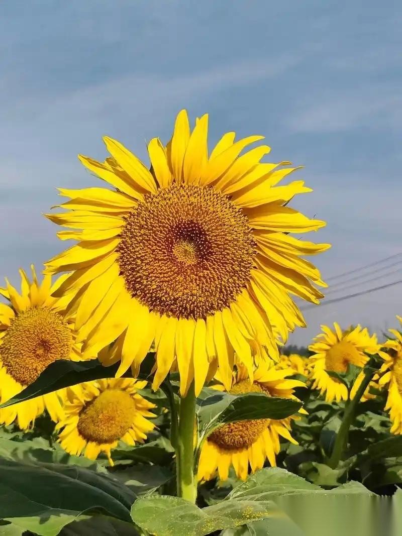 大部分人到死才明白的道理：“人总有一天是要死的，很多人整天都在忙着赚钱，但其实那