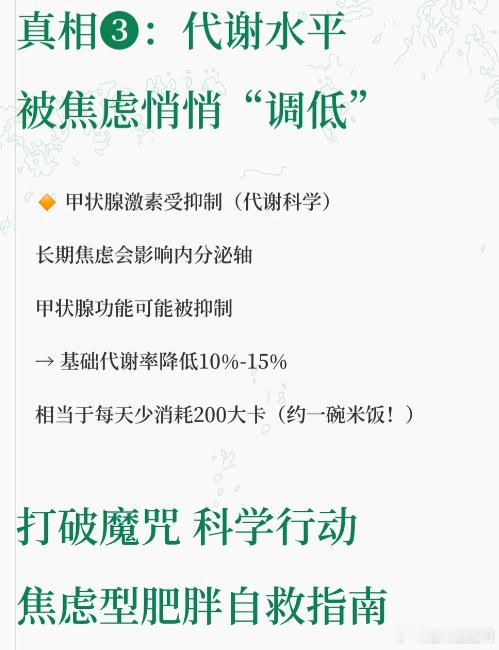 身体你饿了就直接吃我的脂肪轻盈巴士健康轻盈 好好吃饭好好生活，清脆食物咀嚼噪音氛