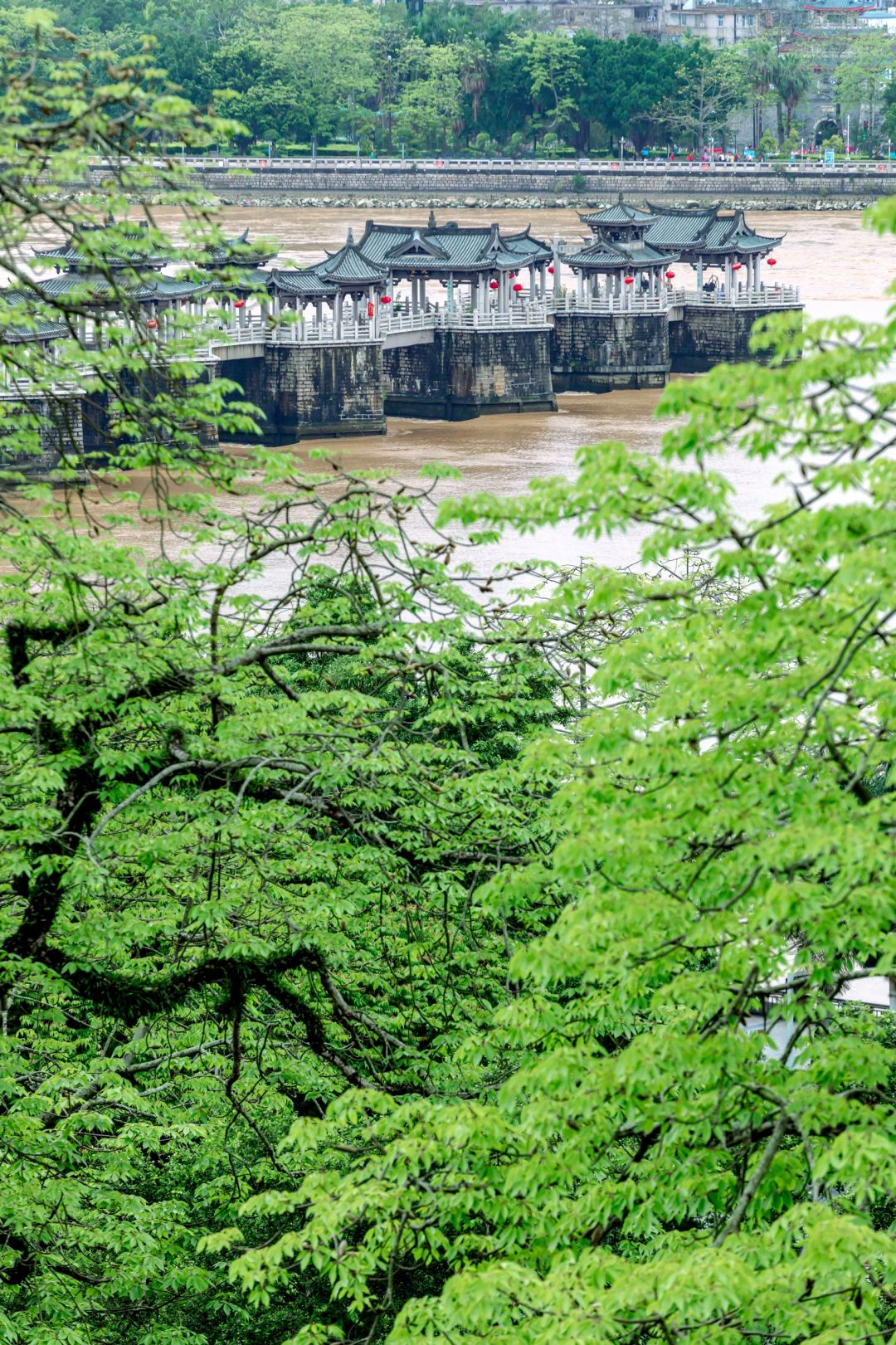 我发现，这个角度看广济桥真的很绝！