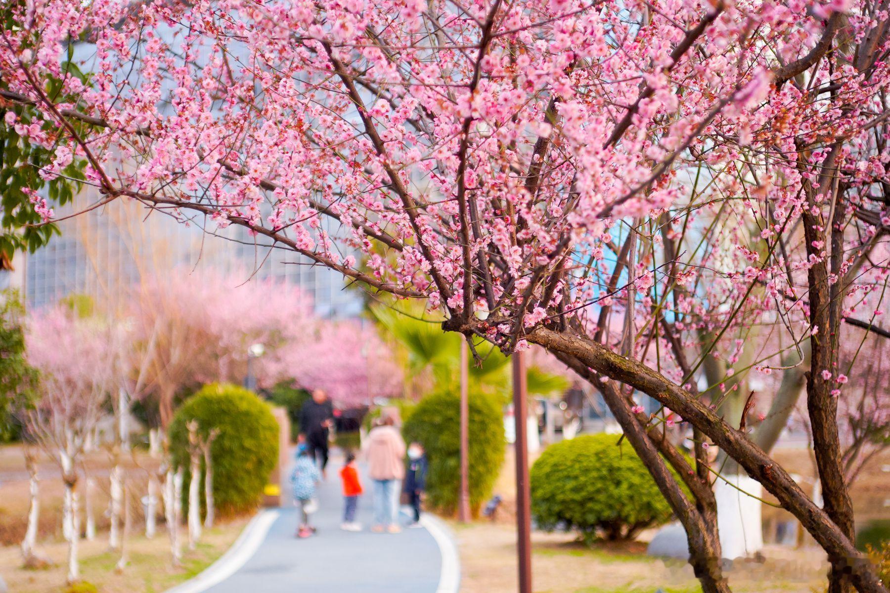 【全员持股】是“金手铐”，还是“双刃剑”？核心观点：全员持股是互联网行业常见的激