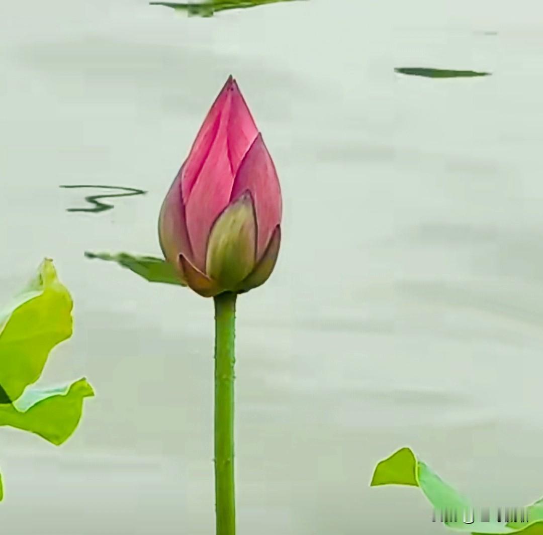 磁场如何形成（通俗+物理原理，分大类讲清）
 
一、核心本质
 
磁场的根源：运