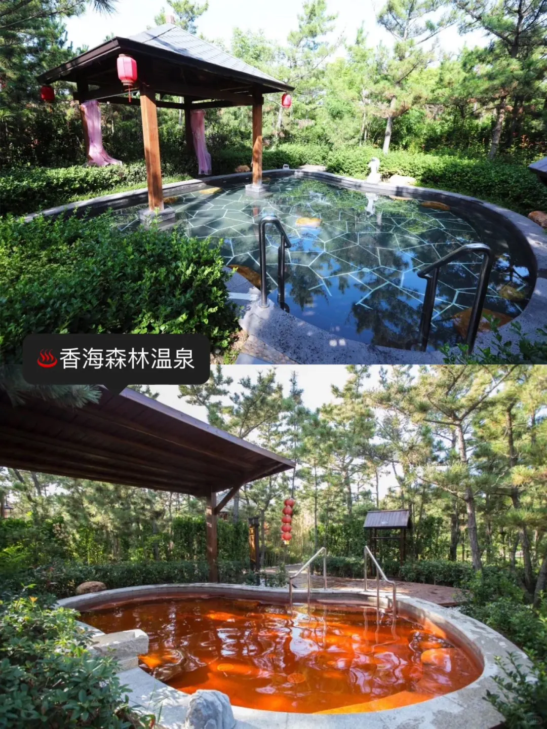 天鹅之约🦢威海秋冬度假指南🍂