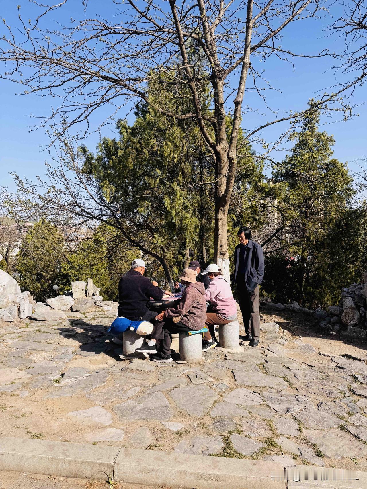 退休人的快乐生活。
公园里，每天都有一堆人在这里打扑克。
还有遛狗的，唱歌的，跳