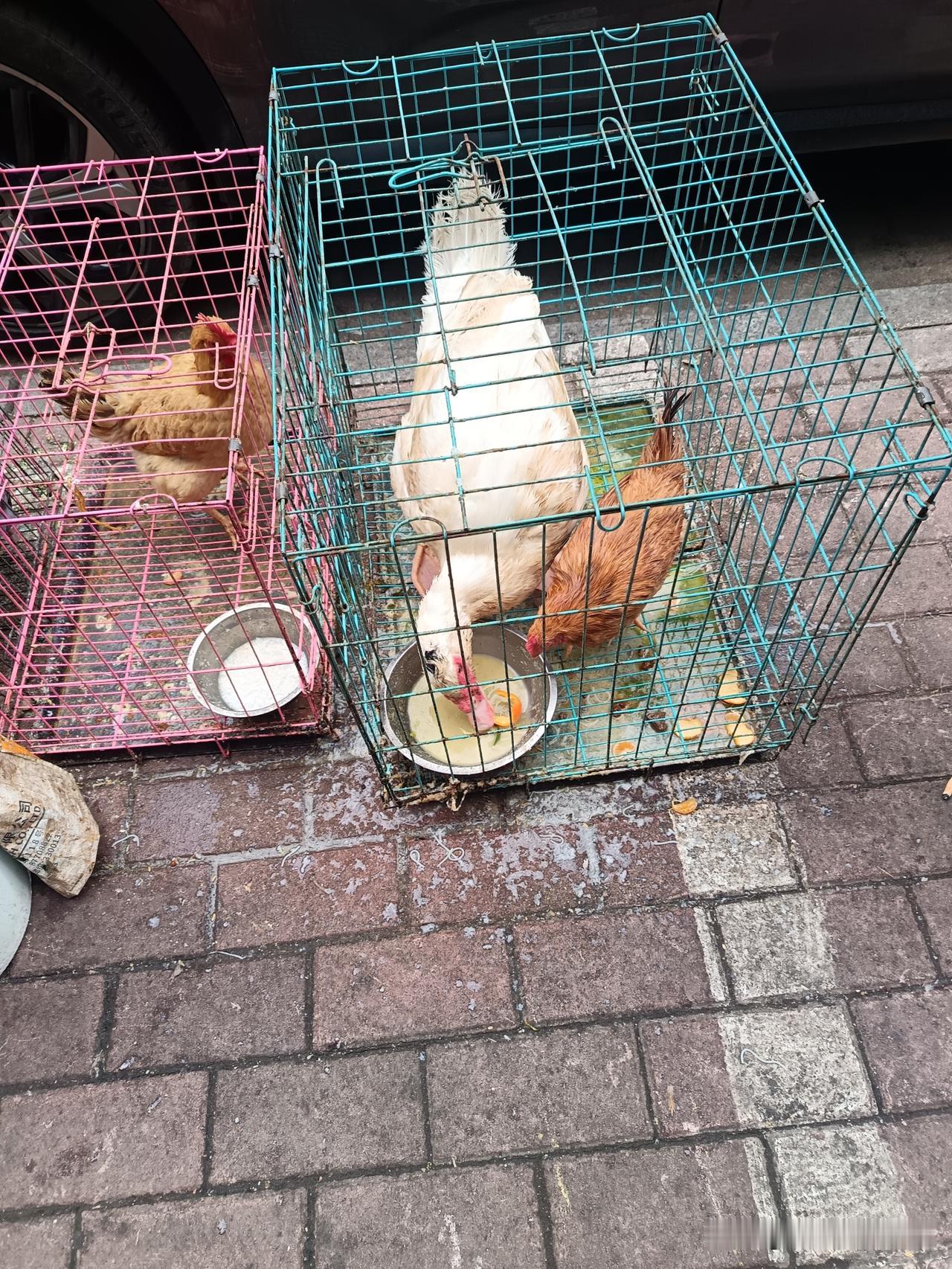 油盐酱醋是生活必须品，也是人际交往的真实现象，从而产生各种各样的情感交织，展现出