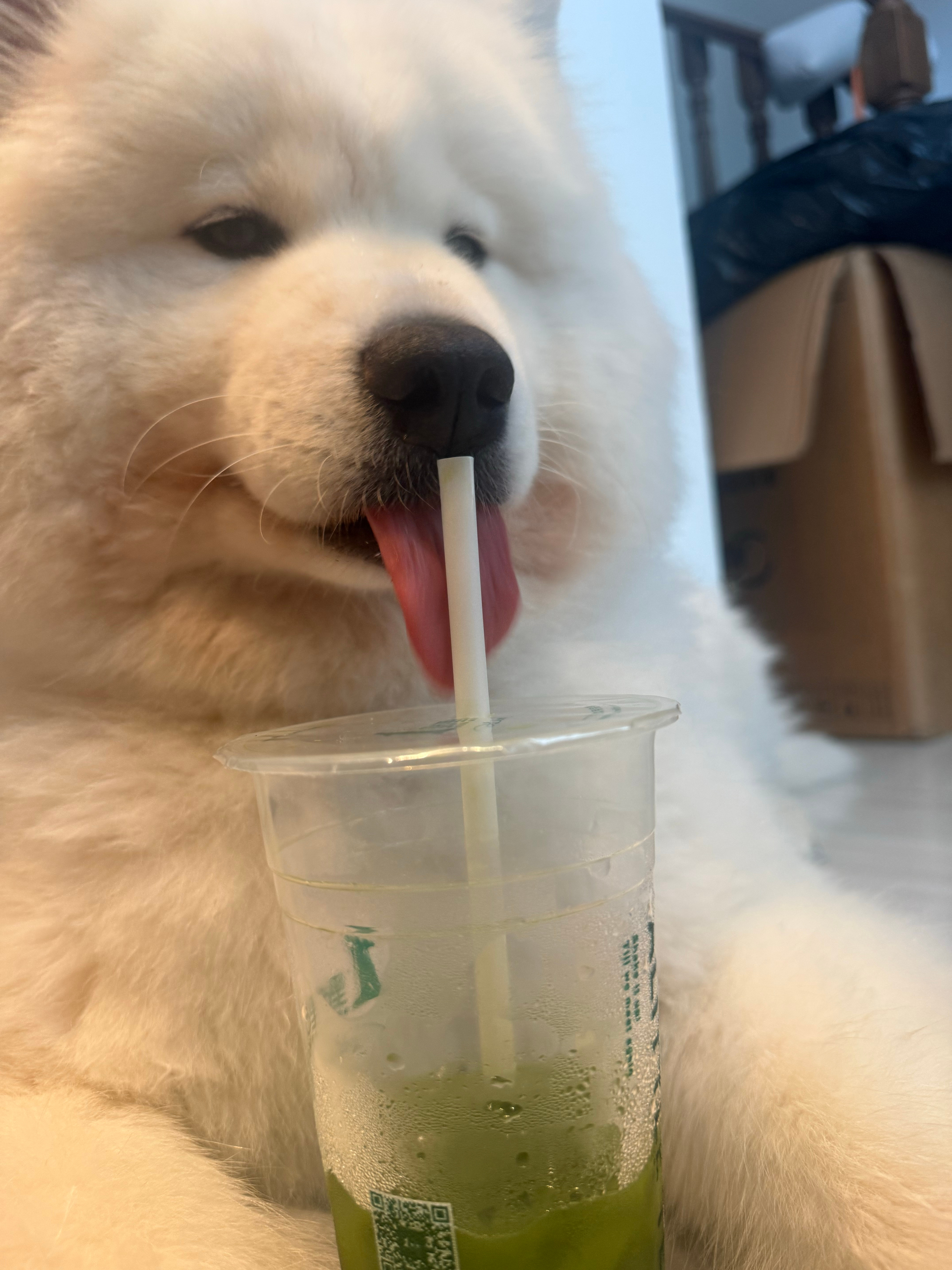 生活真是如绿豆冰（轻轻叹气！） 
