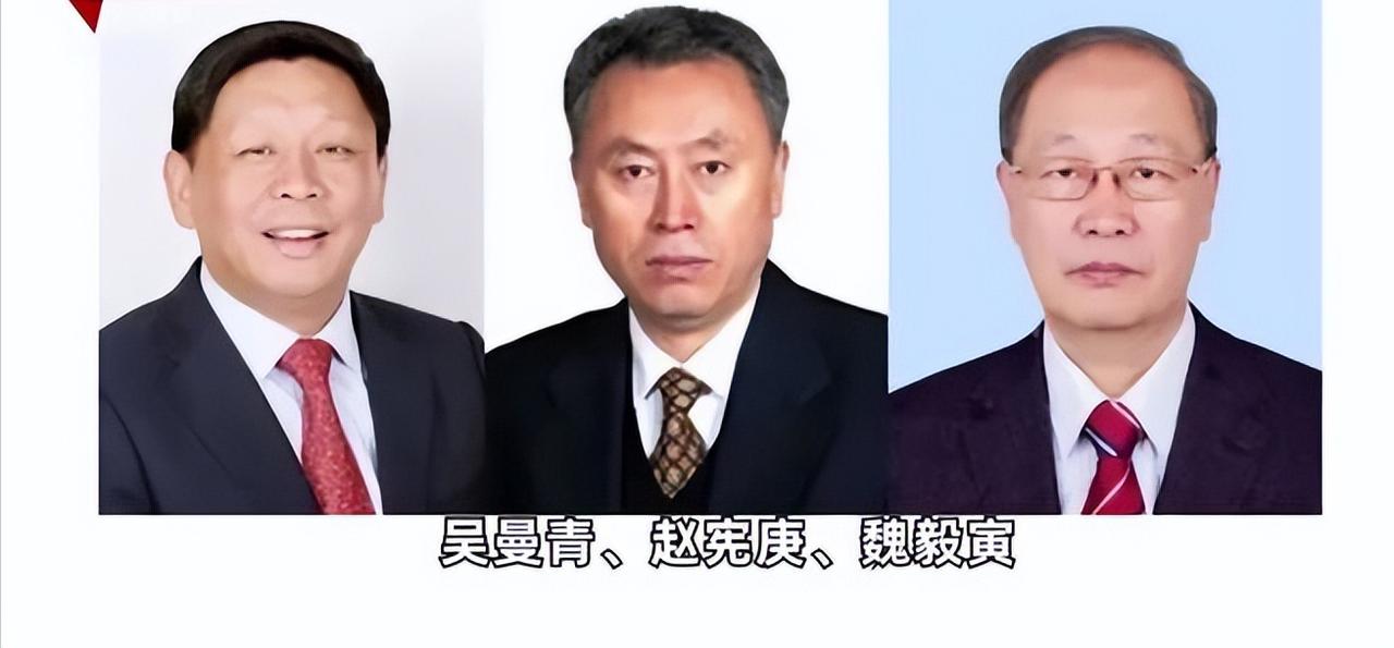 静默除名3名顶尖院士：荣誉从不是“护身符”，底线不容逾越

一声不响，三位国防科