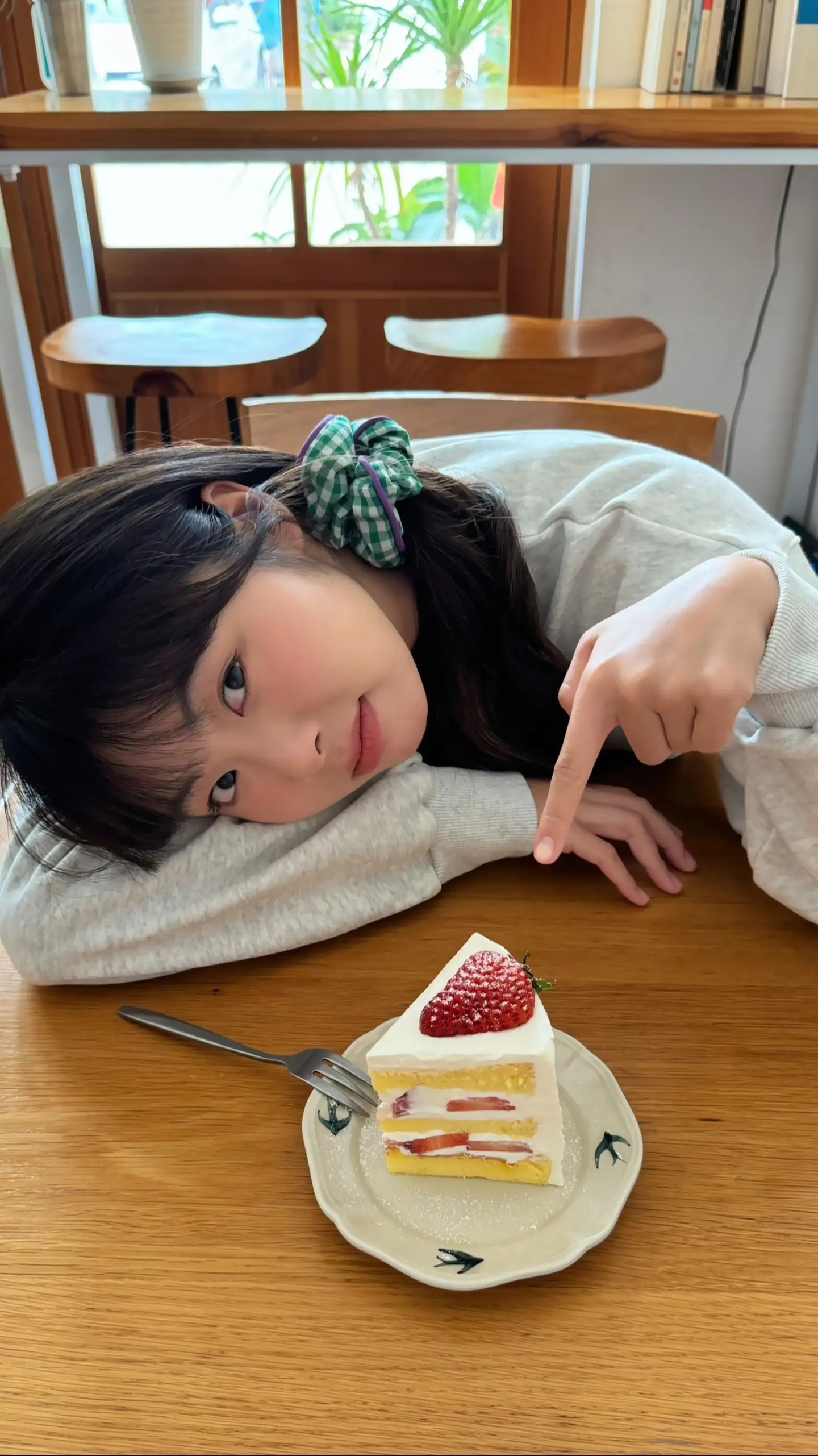 小狗吃小蛋糕。