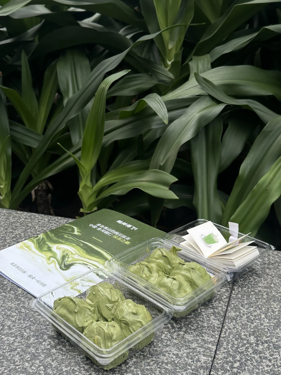 抹茶新品杀疯了🍵茶香浓郁不齁甜！！！