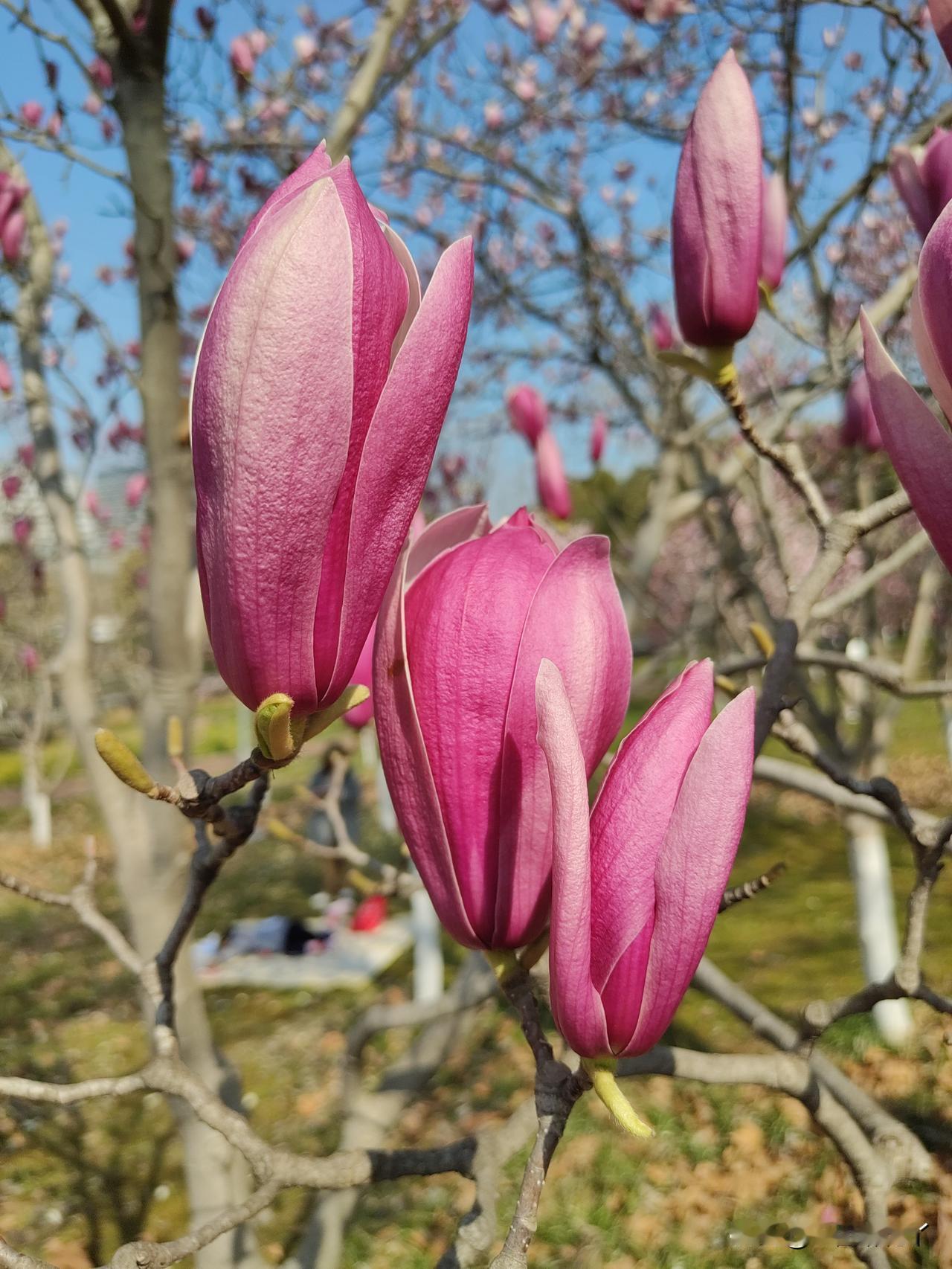 “这就是原生家庭的教育不够，为什么书香门第出身的人看不起个别农村人？觉得她们没教