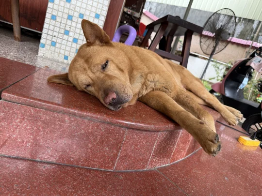 我上完班就这样