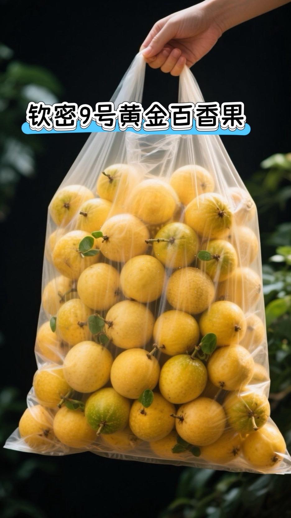 钦蜜9号百香果也太绝了吧，一口下去直接甜到心坎里～这个品种真的刷新了我...