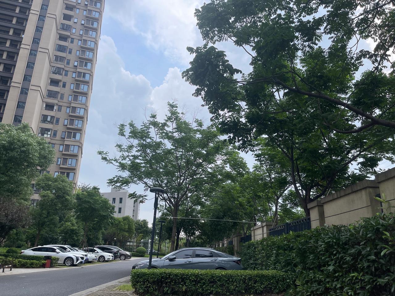 风前水光清如镜。
