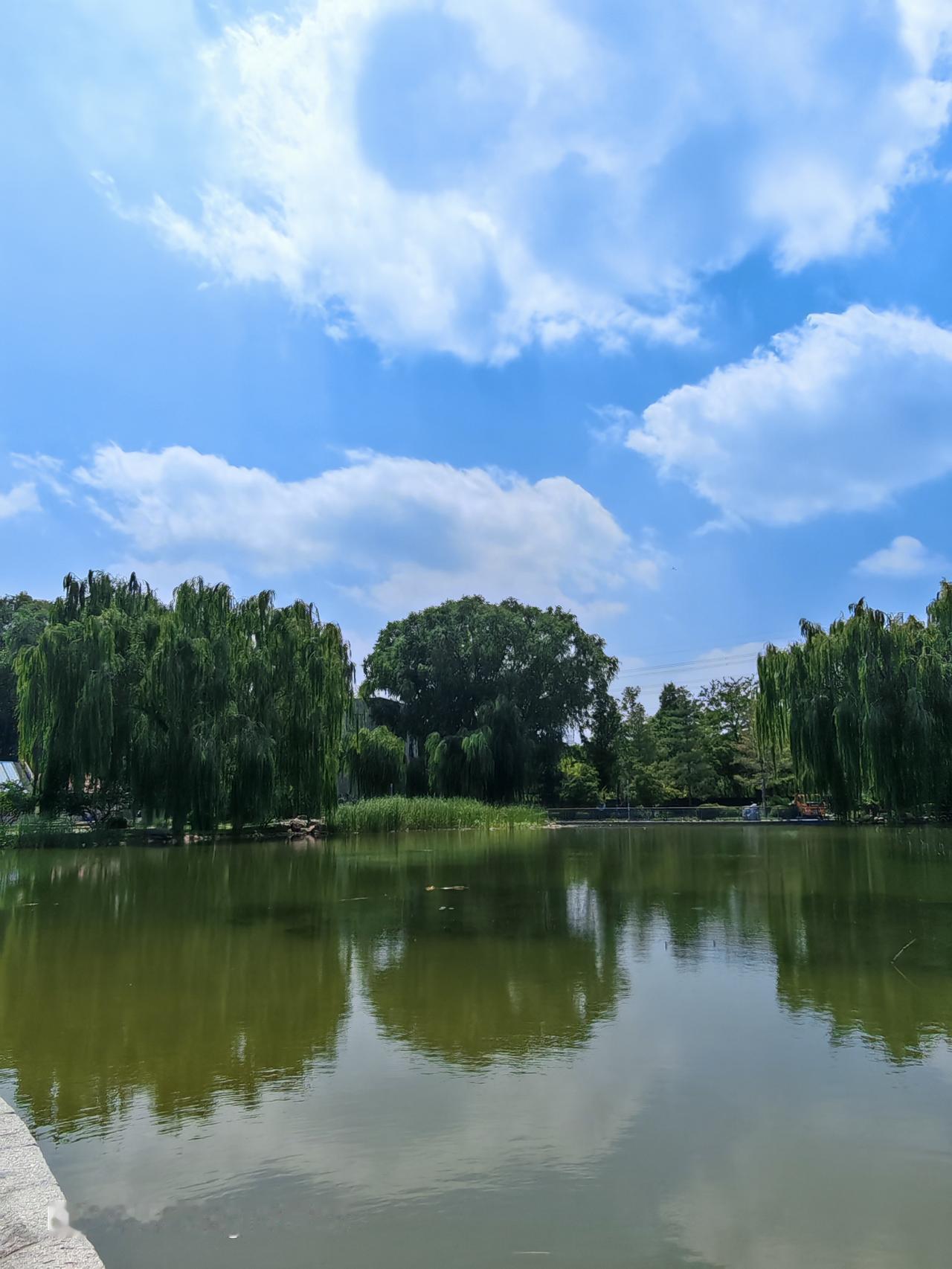 通州梨园公园真是个宝藏地，风景独好。一进公园，两边桃花盛开，仿佛鲜花铺就的迎宾大