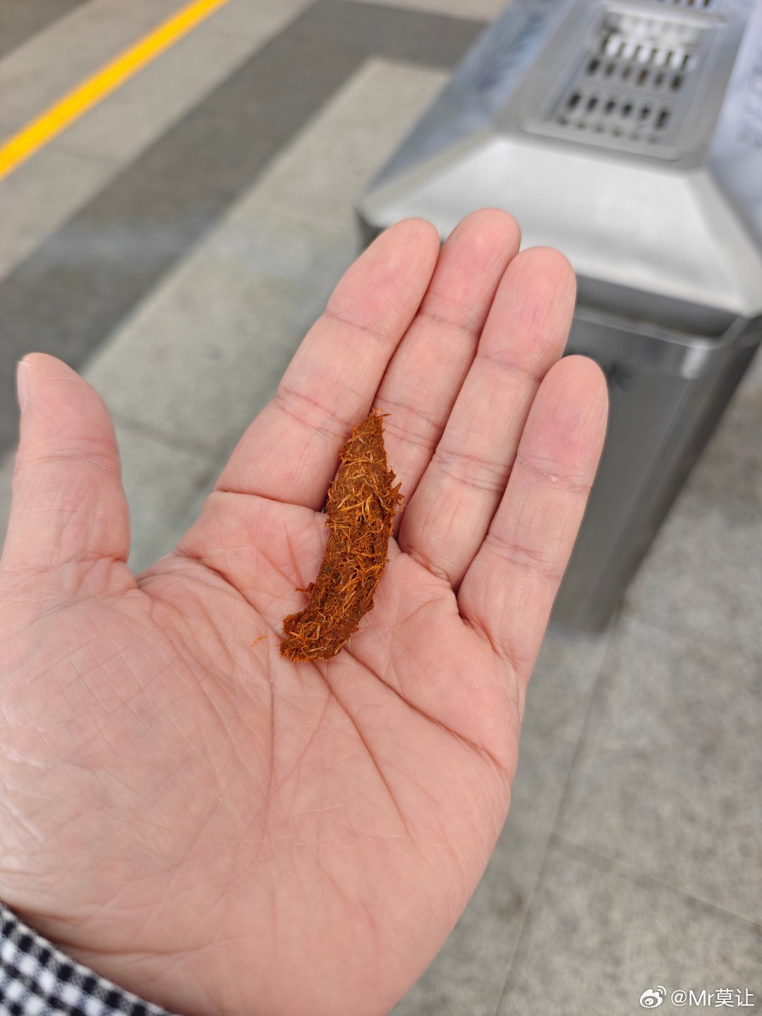 弗兰人表示，海南青果完全不构成挑战 