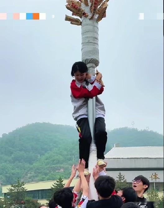 临近高考，延安育英中学为了给高三学子解压助力，学校把网红“巨型糖葫芦树”搬进校园