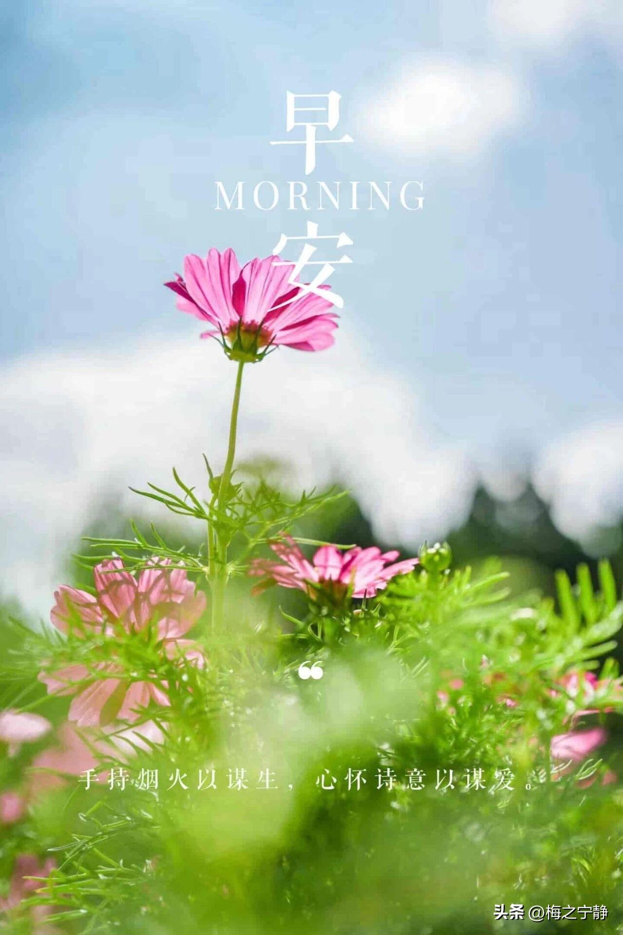 🌼²⁰²⁶/₀₇.₂₆ᵕ̈ᵕ̈周日｜小雨微凉🌧️🍃
🍃𝐆𝐨𝐨𝐝 